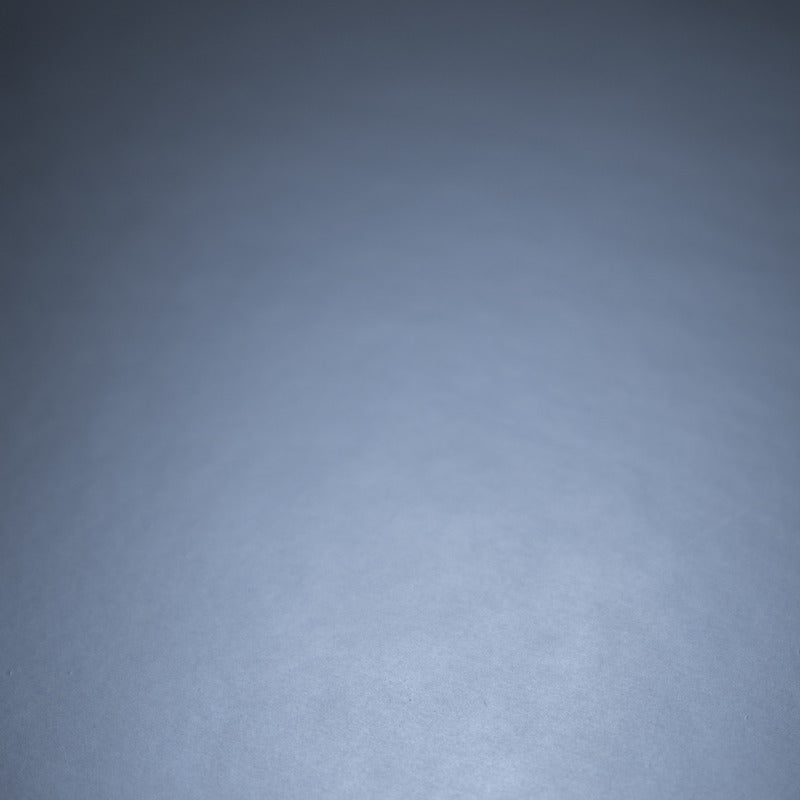 8.5X11 Whole Spectrum Foil Cardstock, Brushed Silver (5 Sheets)