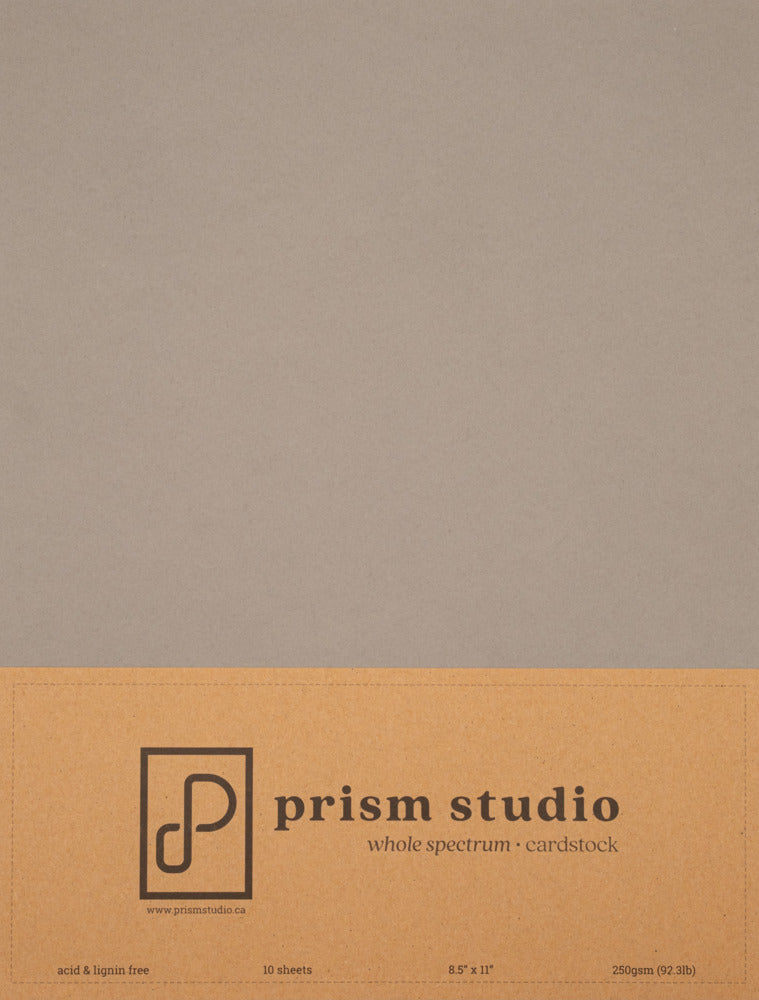 8.5X11 Whole Spectrum Smooth Cardstock, 92lb - Silverleaf Willow (10 Sheets)