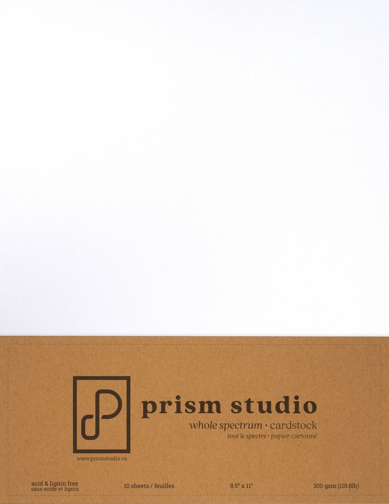 8.5X11 Whole Spectrum Smooth Cardstock, 110lb - Simply White (10 Sheets)
