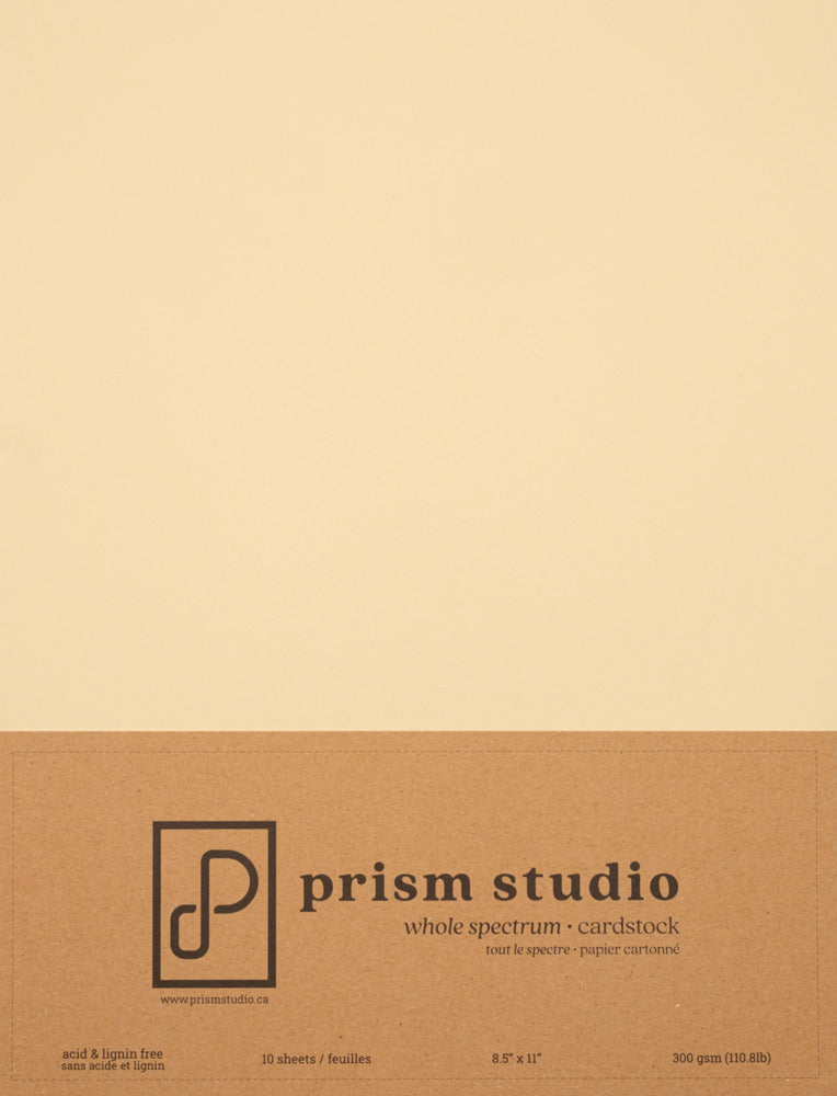 8.5X11 Whole Spectrum Smooth Cardstock, 110lb - Apricot Zinnia (10 Sheets)