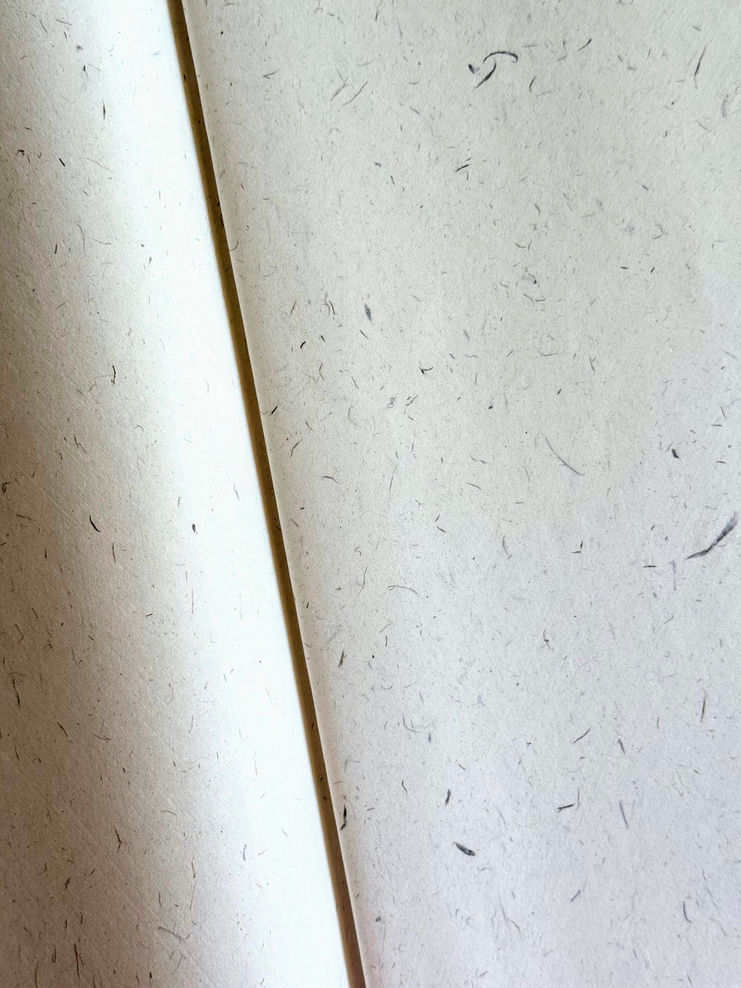 Premium Handmade Xuan Paper Sampler - Shadow Vine (茎藤古宣)-25 sheets