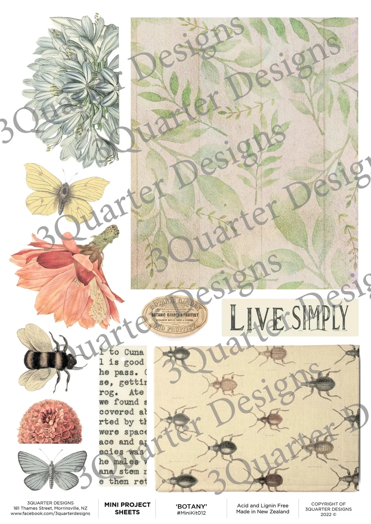 Mini Project Sheet - Botany