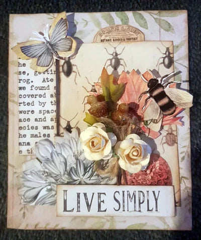 Mini Project Sheet - Botany