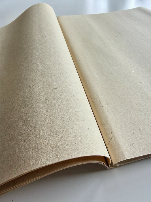 Premium Xuan Paper Sampler - Antique Glimmer Hemp Xuan(古韵流光) - 20 Sheets