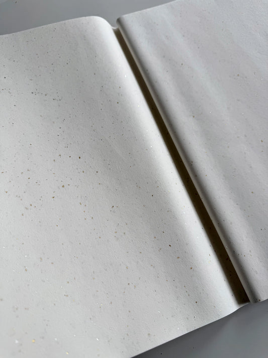 Premium Xuan Paper Sampler - Golden Ripple (金波银澜) - 20 Sheets