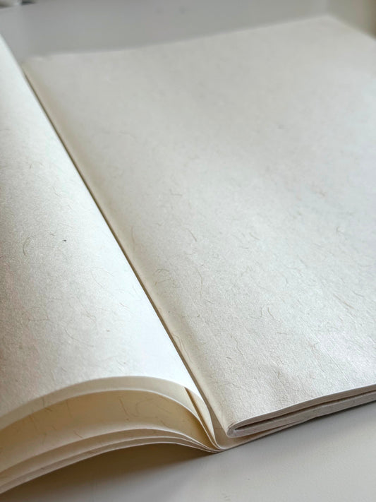 Premium Handmade Xuan Paper Sampler - Hemp Echoes (南唐麻宣)-25 sheets