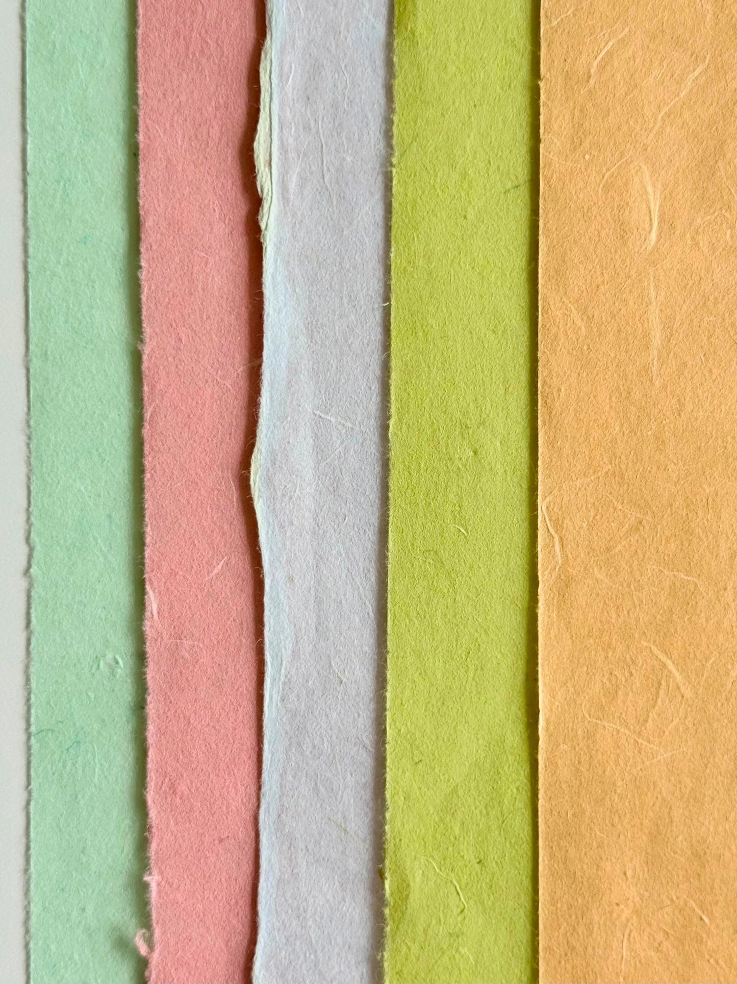 Premium Handmade Coloured Xuan Paper Sampler – Mulberry Fiber Spring Mix (五色楮皮云龙春季限定)-25 Sheets