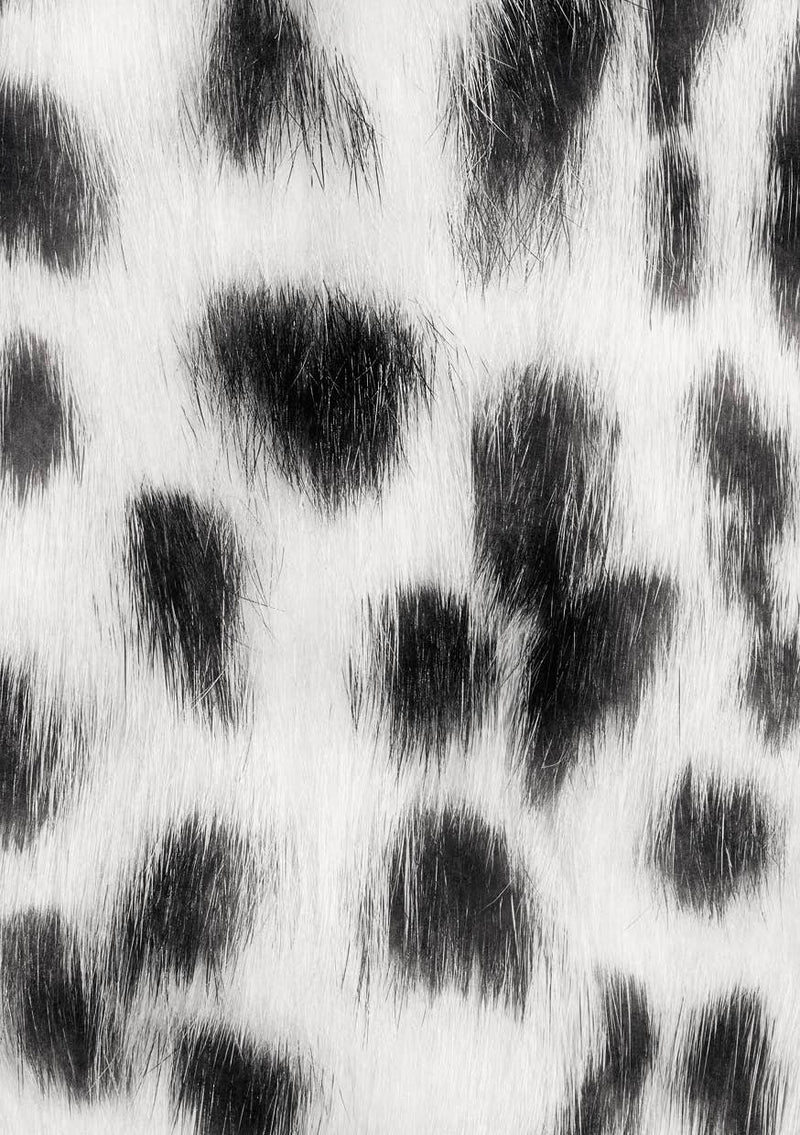 Studio Light Mixed Paper Pad- Stay Wild - 148x210mm