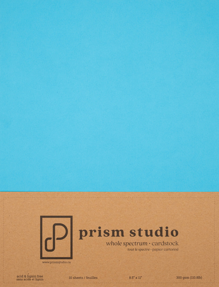 8.5X11 Whole Spectrum Smooth Cardstock, 110lb - Himalayan Poppy (10 Sheets)