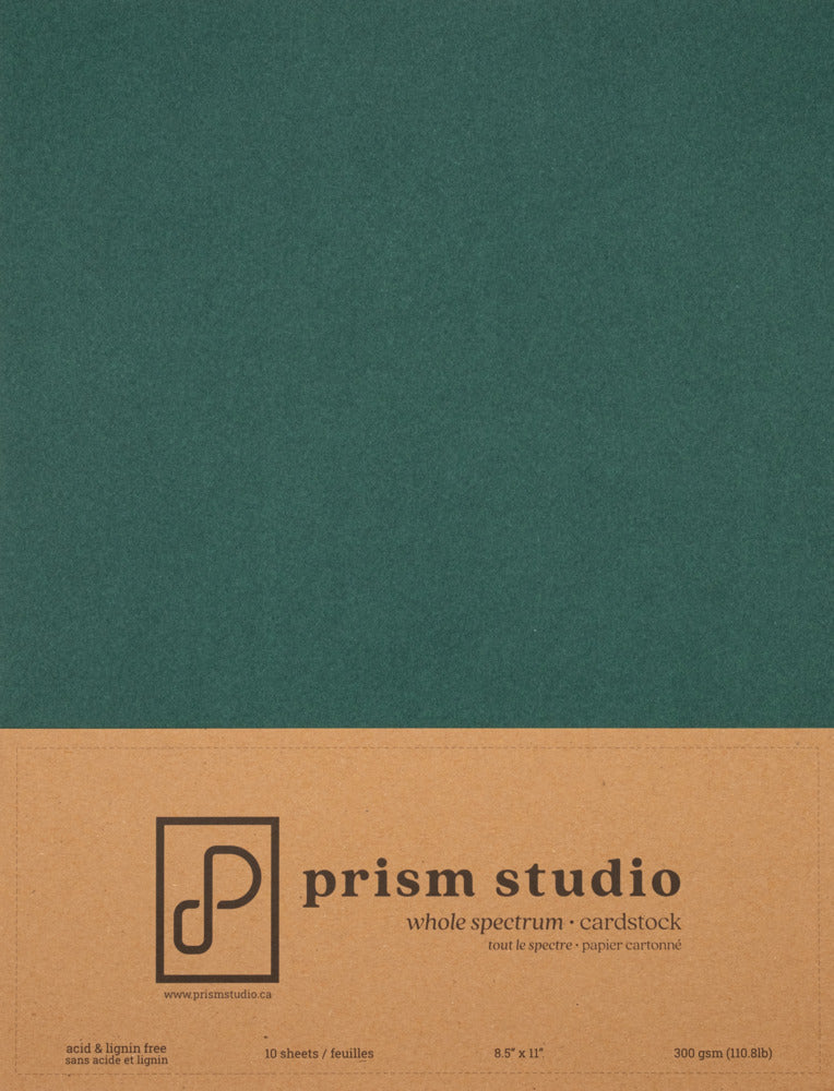 8.5X11 Whole Spectrum Smooth Cardstock, 110lb - Ocotillo (10 Sheets)