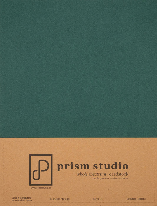 8.5X11 Whole Spectrum Smooth Cardstock, 110lb - Ocotillo (10 Sheets)