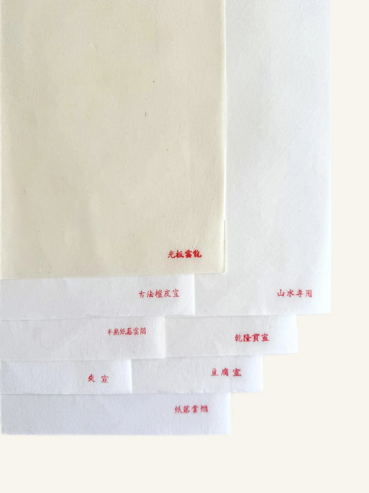 Premium Handmade Freehand Brush Painting Xuan Paper Sampler 国画手工纸样