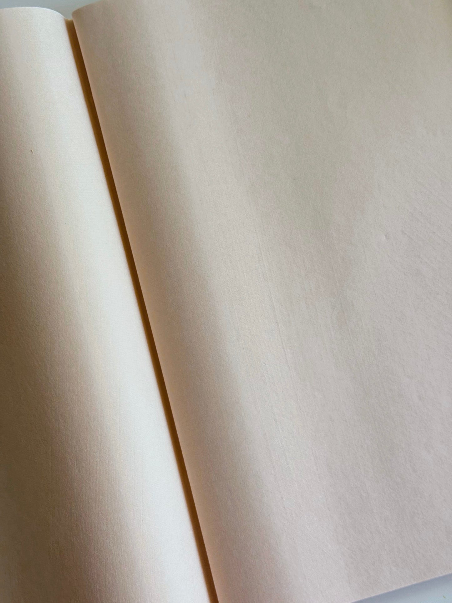 Premium Handmade Xuan Paper Sampler - Morning Gleam (扶光笺)-25 sheets