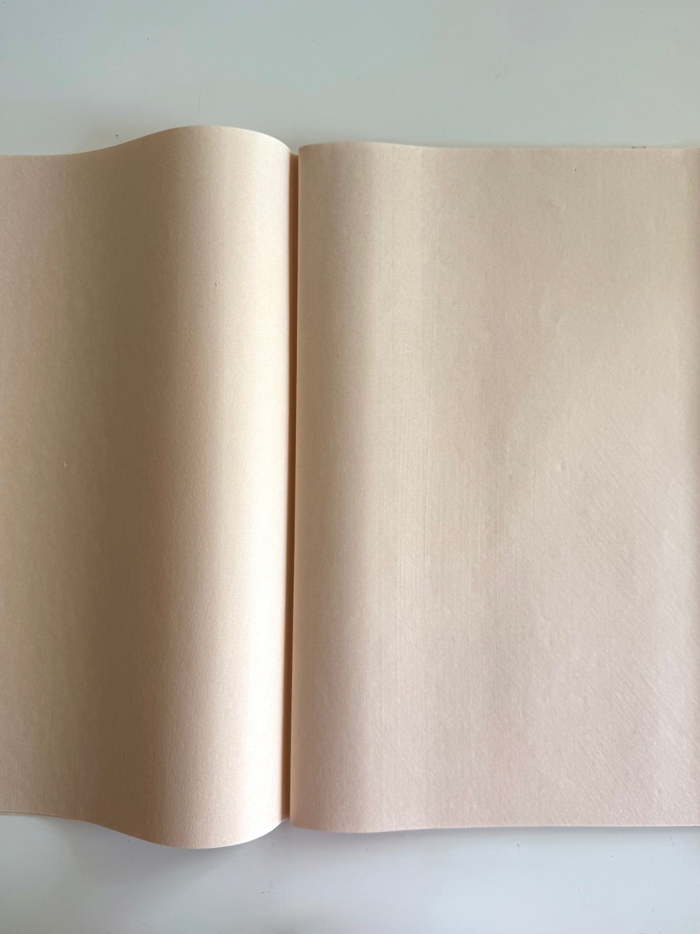 Premium Handmade Xuan Paper Sampler - Morning Gleam (扶光笺)-25 sheets